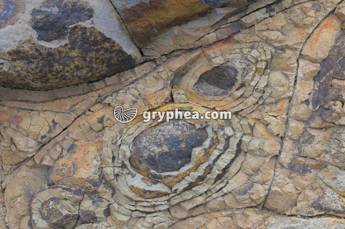 Erosion en boules de roches basaltiques (Ile de Madeira, Portugal) - gryphea.org